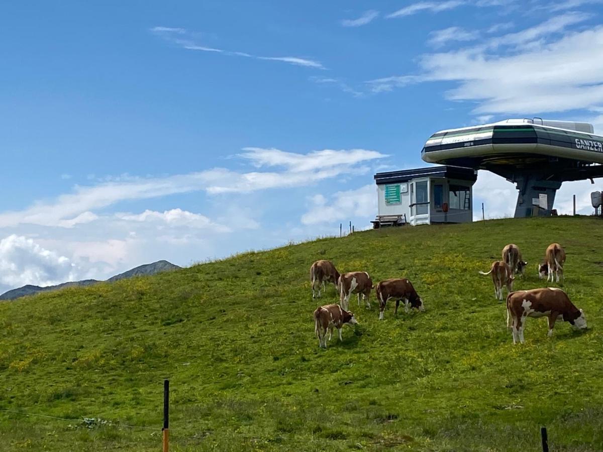 Апартаменты Penthaus Kitzebueheler Alpen Нойкирхен-ам-Гросфенедигер Экстерьер фото